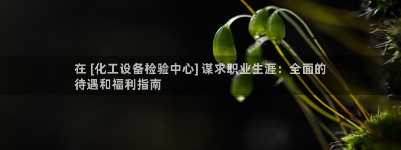 新宝gg官网客户端下载