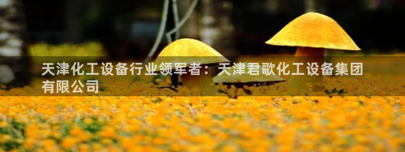 新宝gg账号注册平台：天津化工设备行业领军者：天津