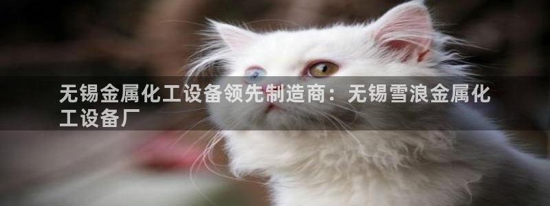 新宝gg真的能赚钱么：无锡金属化工设备领先制造商：