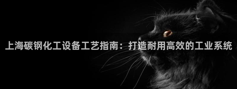 新宝GG平台德711怎么联系客服：上海碳钢化工设备