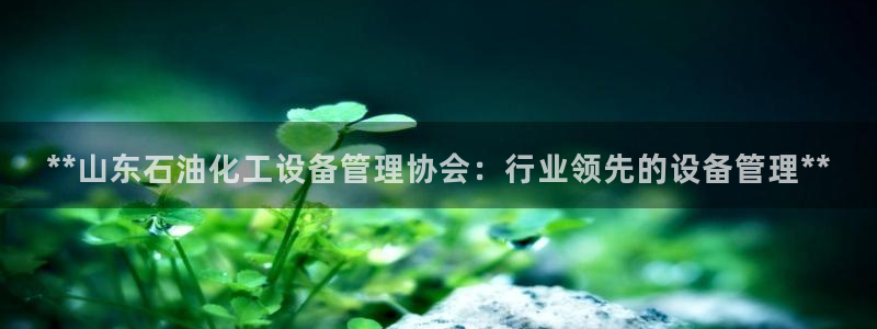 新宝gg怎么登录不上去了了：**山东石油化工设备管理协会：行