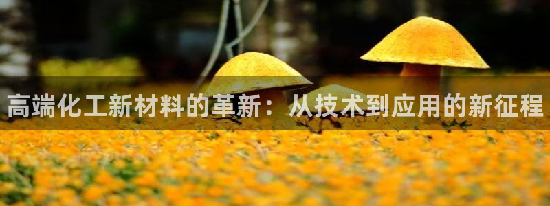 新宝gg—创造奇迹官网