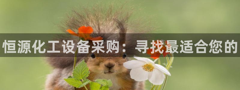 新宝gg平台注册登录指南