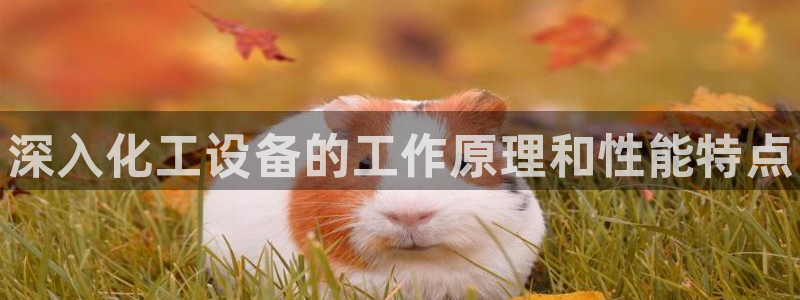 新宝gg—创造奇迹登录：深入化工设备的工作原理和性能特点