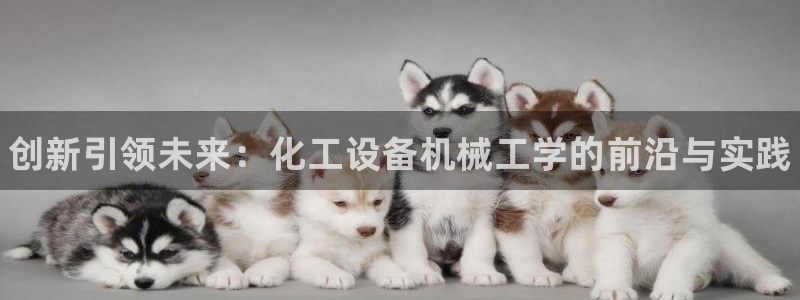 新宝gg—创造奇迹登录1956：创新引领未来：化工