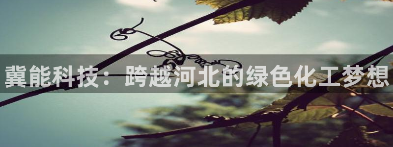 新宝gg创造奇迹平台注册登录