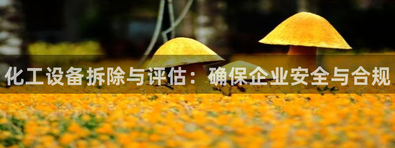 新宝gg注册网址