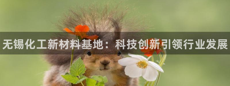 新宝gg创造奇迹代理