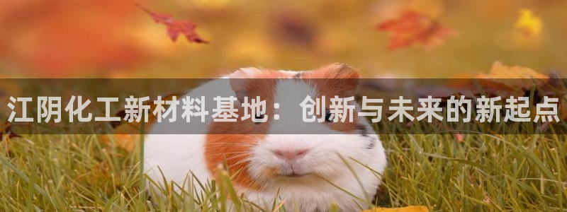 新宝gg平台注册登录指南