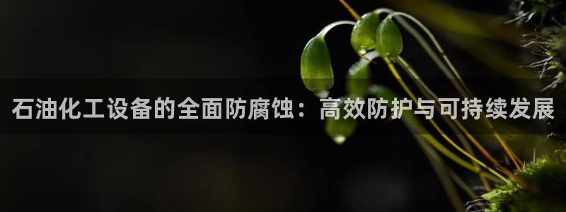 新宝gg创造奇代理加盟