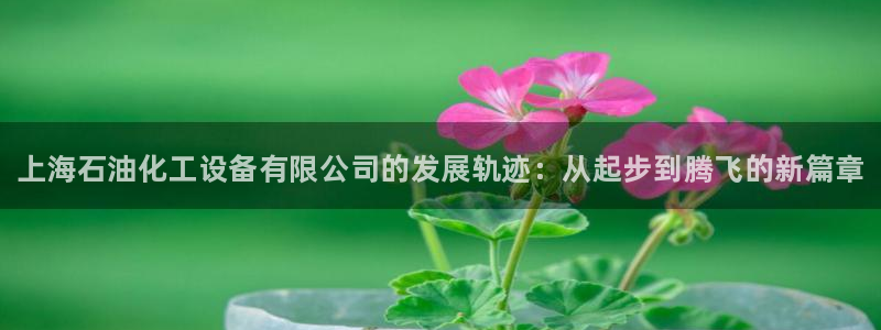 新宝gg注册网址：上海石油化工设备有限公司的发展轨迹：从起步